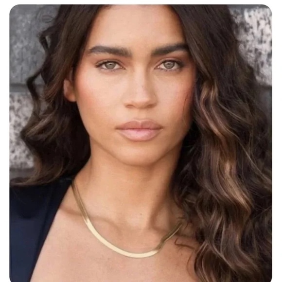 Jennifer Zeuner Gold Herringbone Necklace 14”-16” - Picture 3 of 12